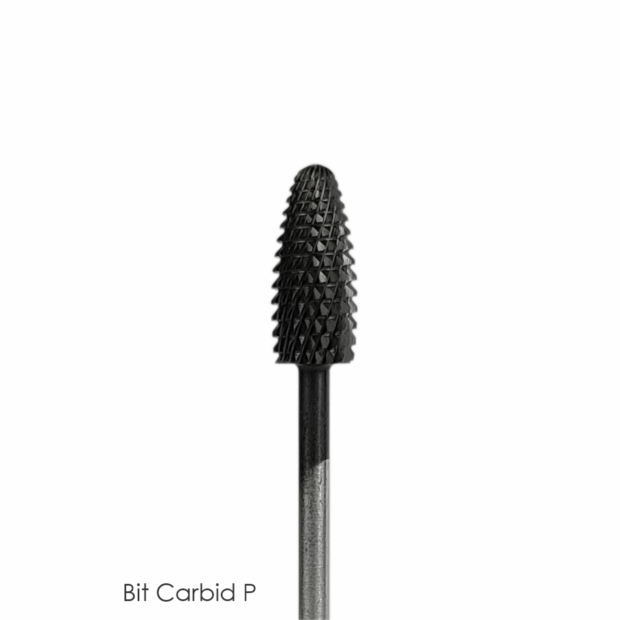 Bit Carbid P